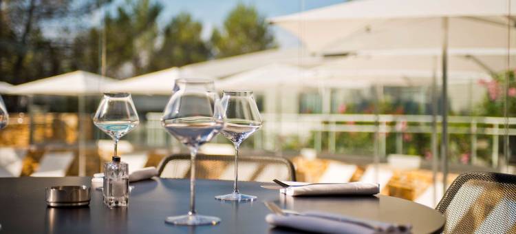 索菲亚安提波利斯金色郁金香酒店(Golden Tulip Sophia Antipolis - Hotel & Spa)图片