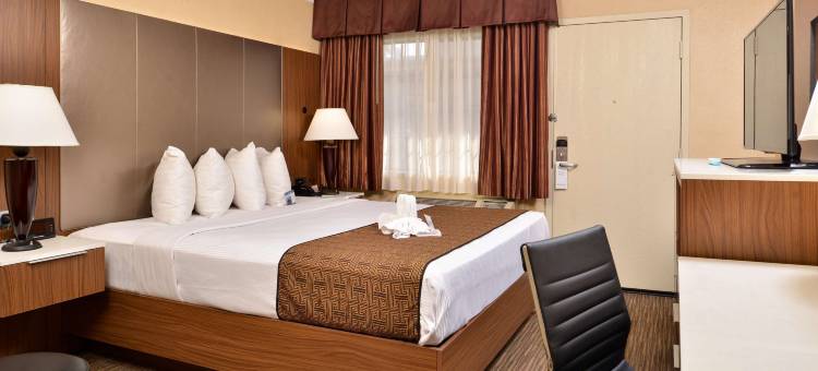 好莱坞广场贝斯特韦斯特酒店(Best Western Hollywood Plaza Inn Hotel - Hollywood Walk of Fame La)图片