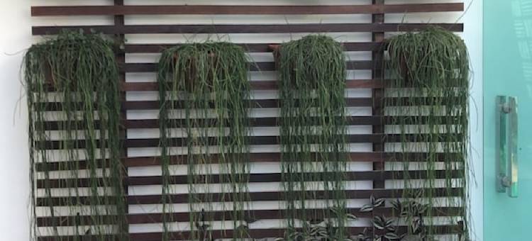 Pousada Mineira图片