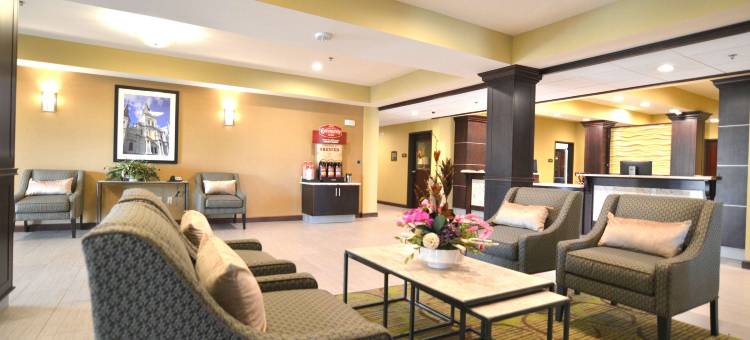 纽奥良机场贝斯特韦斯特优质酒店(Best Western Plus New Orleans Airport Hotel)图片