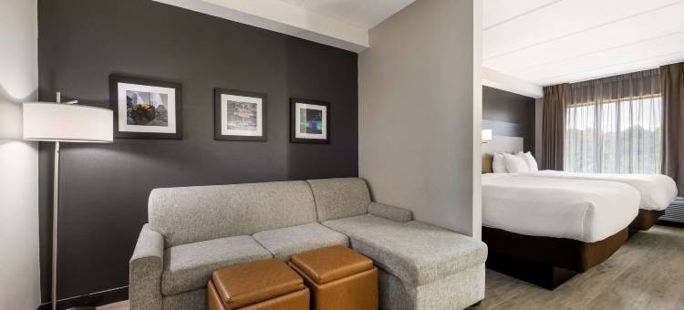 北湖舒适套房酒店(Comfort Suites Northlake)图片