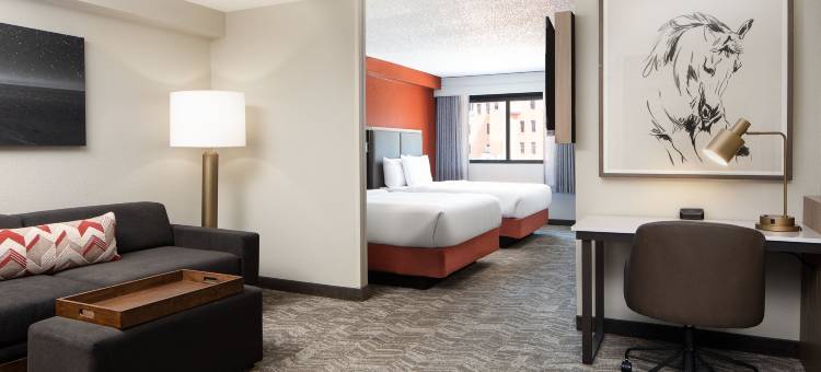 达拉斯市中心／西区万豪SpringHill酒店(SpringHill Suites Dallas Downtown/West End)图片