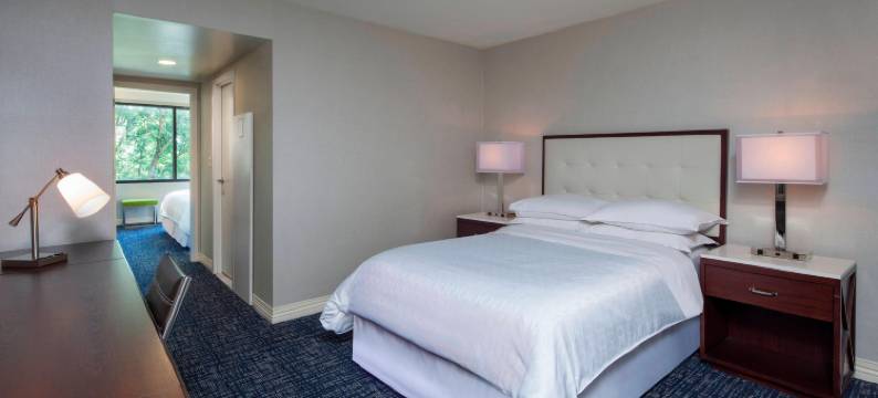 费城机场喜来登套房酒店(Sheraton Suites Philadelphia Airport)图片