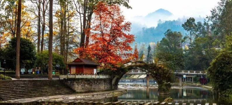 白鹿镇星空民宿(樵人街分店)图片