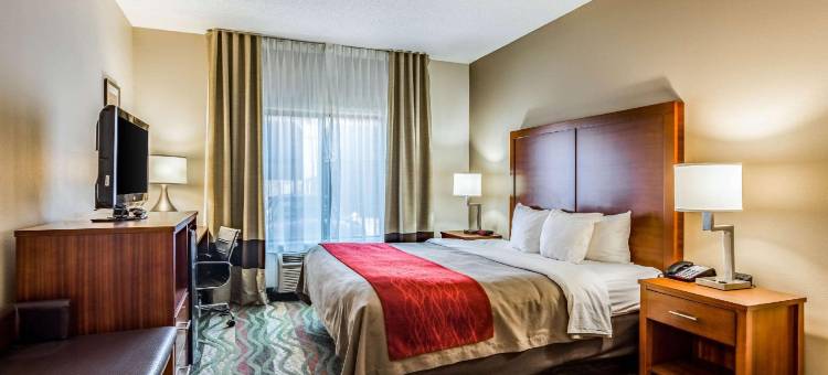 查塔努加西舒适套房酒店 - 瞭望山(Comfort Inn & Suites Chattanooga West - Lookout Mountain)图片