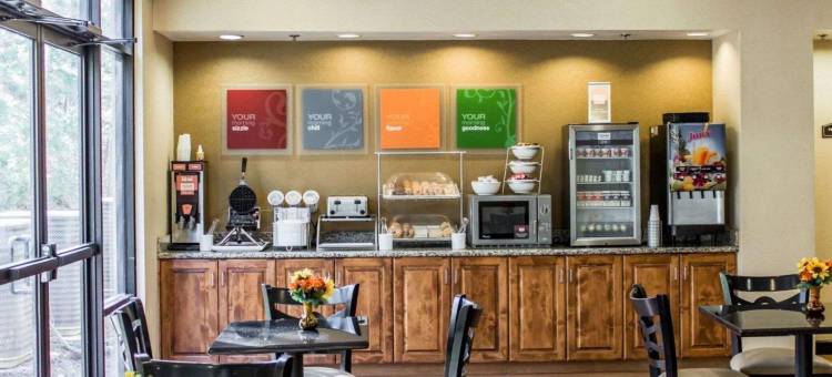 克莱顿加纳舒适套房酒店(Comfort Suites Clayton - Garner)图片