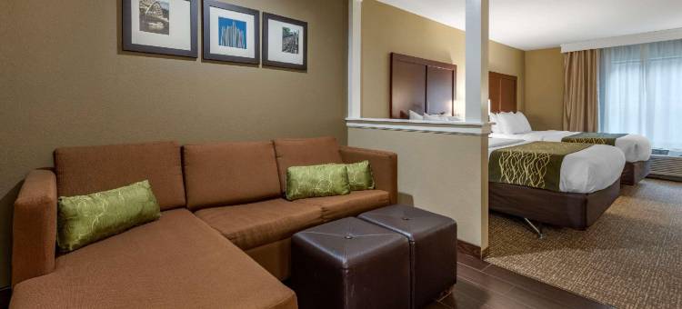 匹兹堡南康福特酒店及套房(Comfort Inn & Suites Pittsburgh South)图片