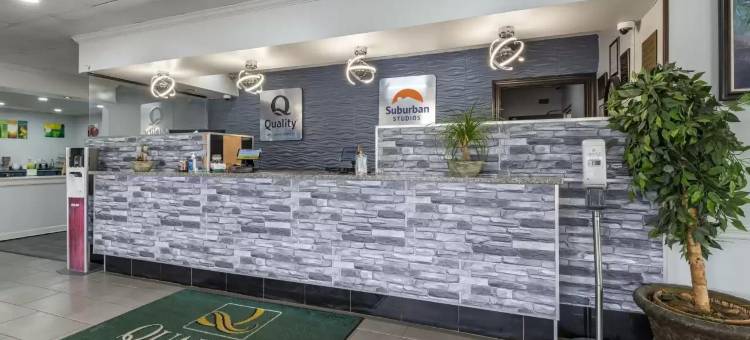 Suburban Studios图片