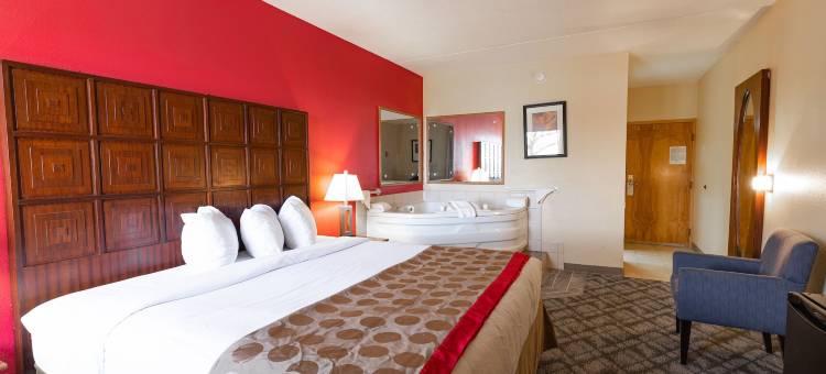 哥伦布北极星华美达酒店(Ramada by Wyndham Columbus North)图片