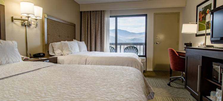 卡利维尔I-75/科夫湖州立公园希尔顿欢朋酒店(Hampton Inn Caryville-I-75/Cove Lake State Park)图片