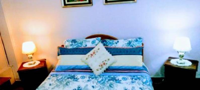 The Scandinavian图片