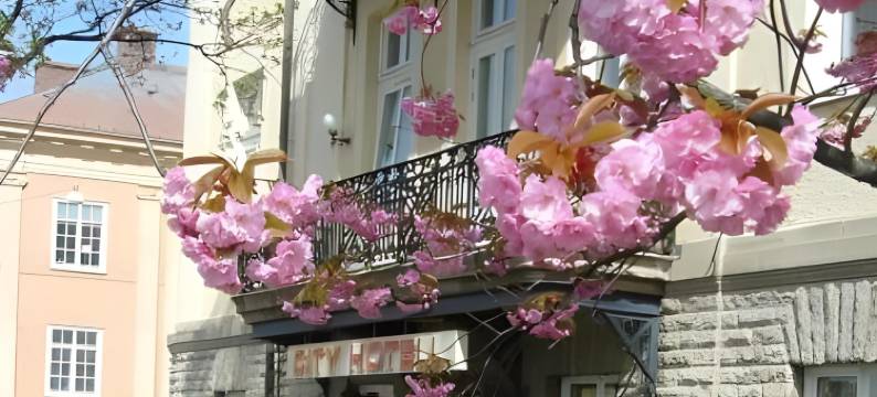 埃斯基尔斯蒂娜市第一酒店(First Hotel City Eskilstuna)图片