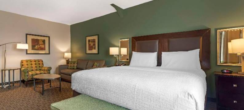 邓肯维尔达拉斯贝斯特韦斯特优质酒店(Best Western Plus Duncanville Dallas)图片