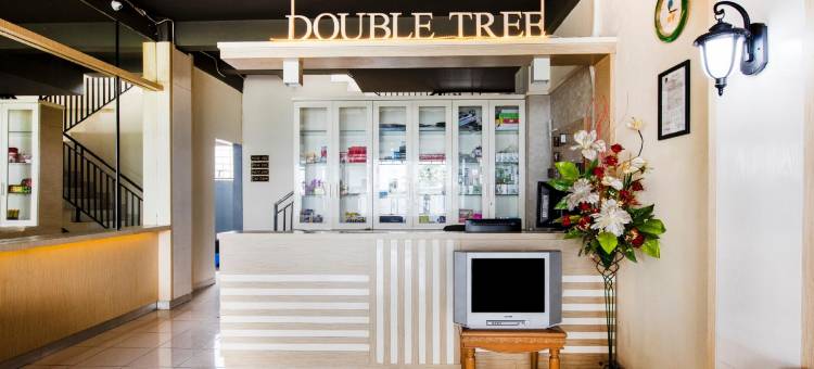 Super OYO 3746 Double Tree Guesthouse图片