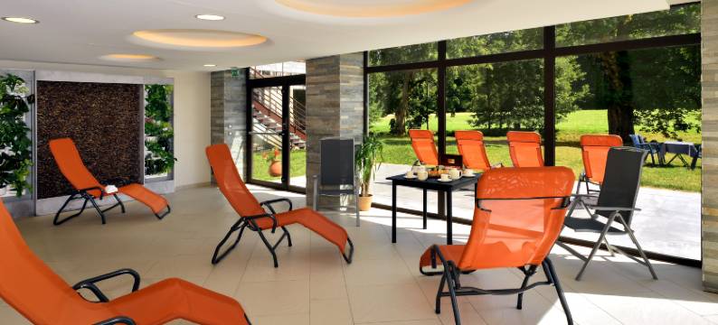 孚日之家酒店(Logis Hotel des Vosges)图片