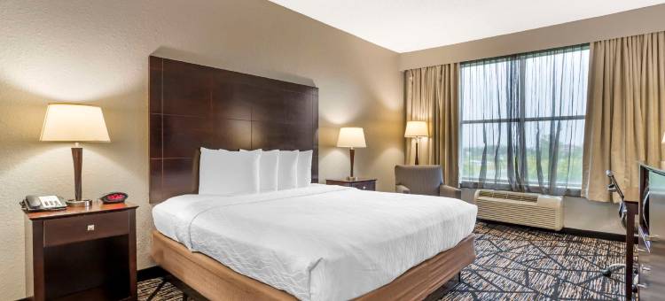 霍比机场贝斯特韦斯特优质套房酒店(Best Western Plus Hobby Airport Inn  Suites)图片