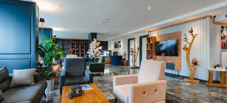 特拉布宗柏林套房酒店(BERLİN SUITE HOTEL)图片