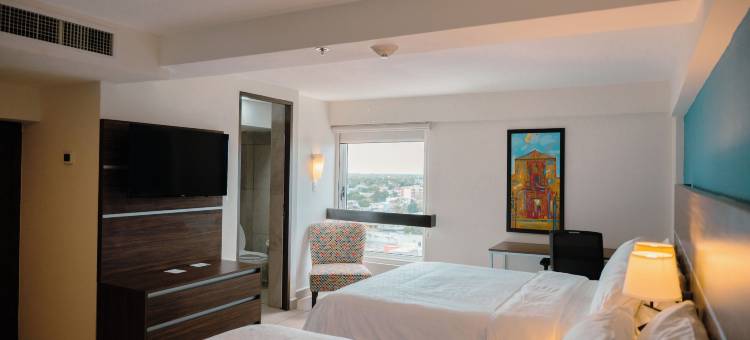 梅尼达中心智选假日酒店(Holiday Inn Express Merida Centro)图片