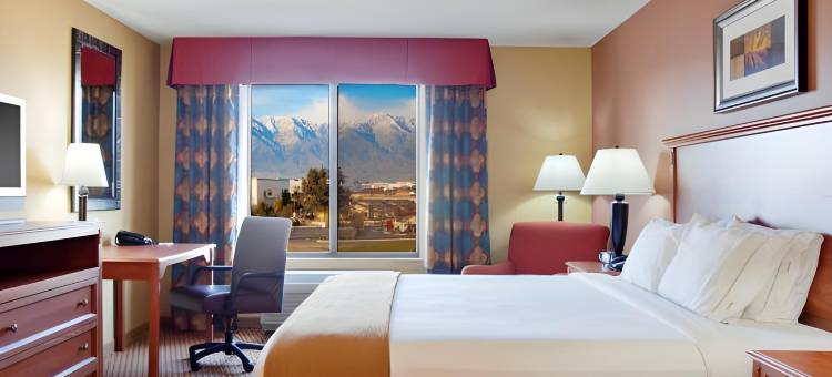 智选假日套房酒店安大略国际机场(Holiday Inn Express & Suites Ontario Airport)图片