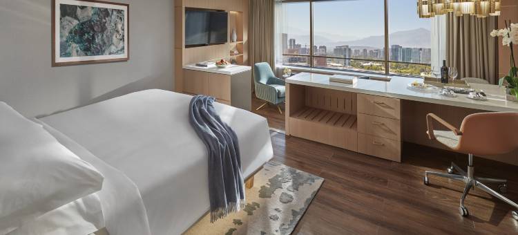 圣地亚哥文华东方酒店(Mandarin Oriental, Santiago)图片