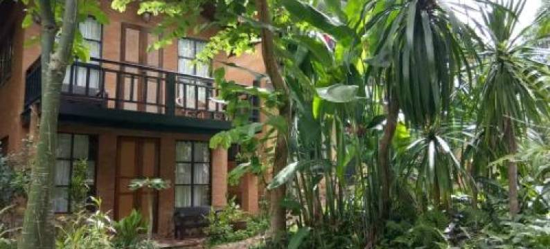 小伊甸园宾馆(Little Eden Guesthouse)图片