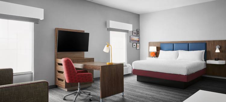 夏洛特斯蒂勒溪希尔顿欢朋套房酒店(Hampton Inn & Suites Charlotte Steele Creek)图片