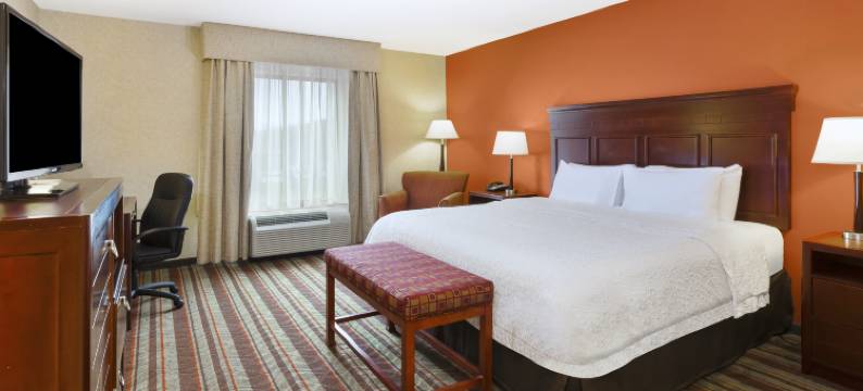 底特律绍斯盖特欢朋酒店(Hampton Inn Detroit/Southgate)图片