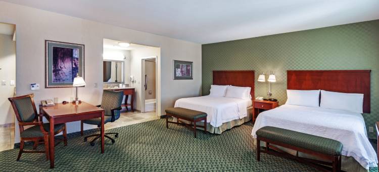 埃尔帕索西欢朋套房酒店(Hampton Inn & Suites El Paso West)图片