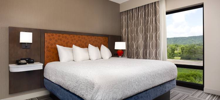 希尔顿欢朋酒店-金斯波特(Hampton Inn Kingsport)图片