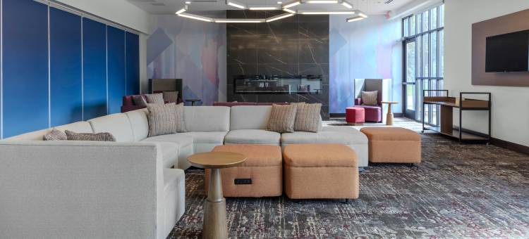 底特律尤蒂卡希尔顿花园旅馆(Hilton Garden Inn Detroit Utica)图片