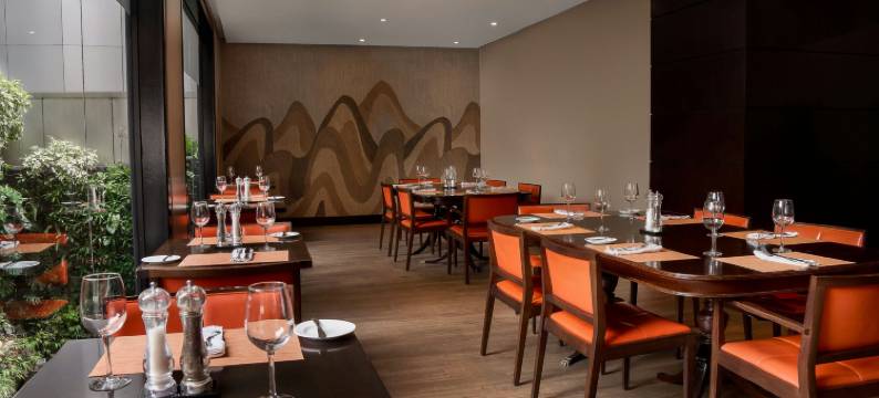 加拉加斯拉卡斯提亚万丽酒店(Renaissance Caracas la Castellana Hotel)图片