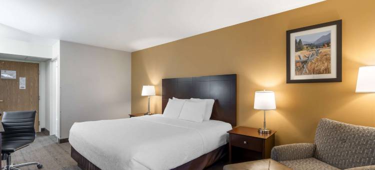 黄石路口贝斯特韦斯特酒店(Best Western Yellowstone Crossing)图片