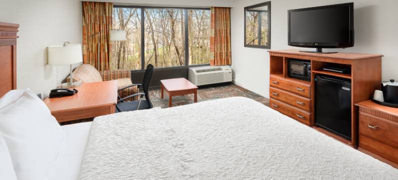 诺克斯维尔橡树岭欢朋酒店(Hampton Inn by Hilton Oak Ridge Knoxville)图片