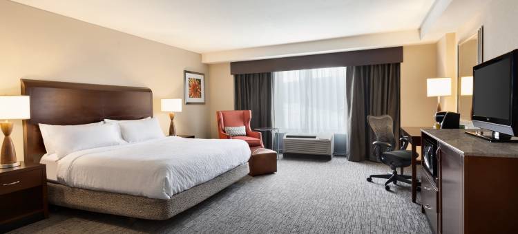 希尔顿花园酒店-亚特兰大市区(Hilton Garden Inn Atlanta Downtown)图片