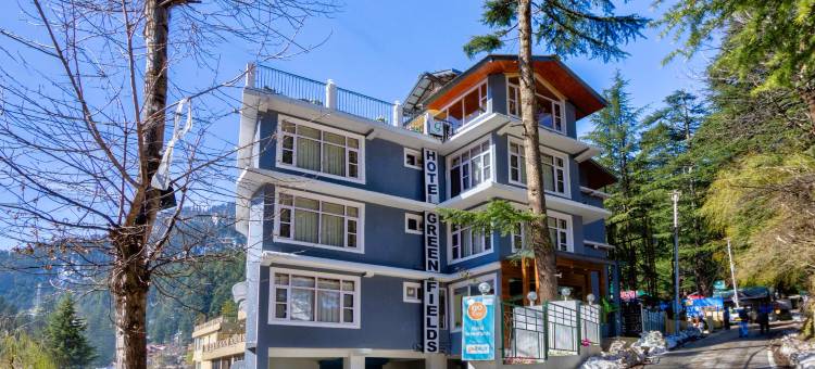 绿地酒店(Hotel Greenfields)图片