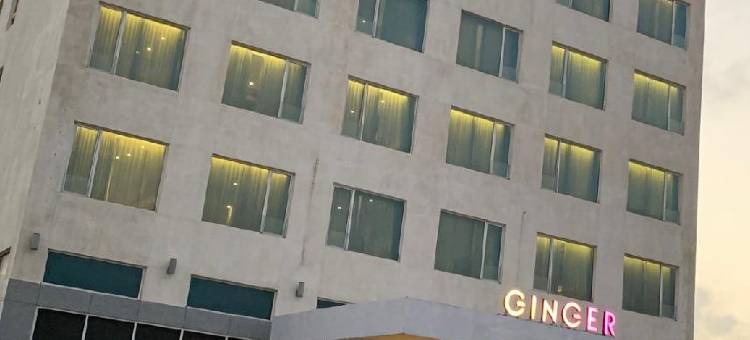 金格尔达尔卡酒店(Ginger Dwarka)图片