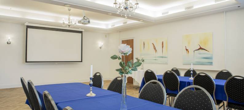 普尼克斯布朗德史莱夫酒店(Hotel Phønix Brønderslev)图片