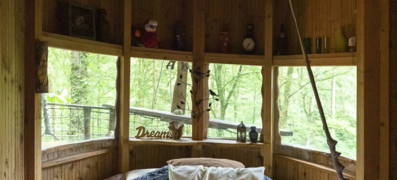 阿尔布雷卡巴内酒店(L'Arbre à Cabane)图片