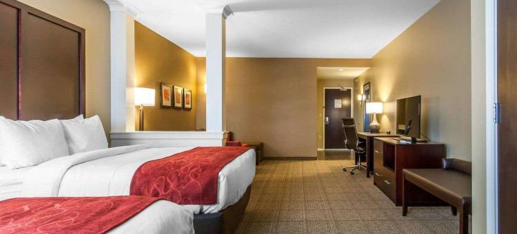 舒适套房酒店-扬斯敦北(Comfort Suites-Youngstown North)图片