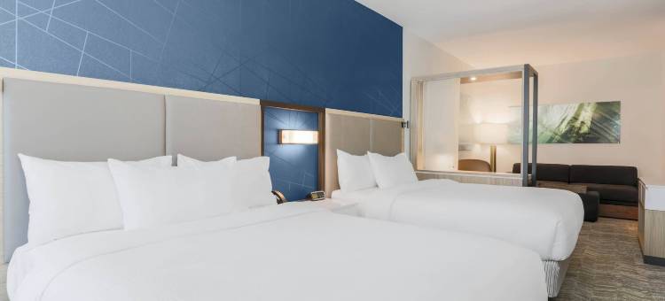 SpringHill Suites Tallahassee North图片