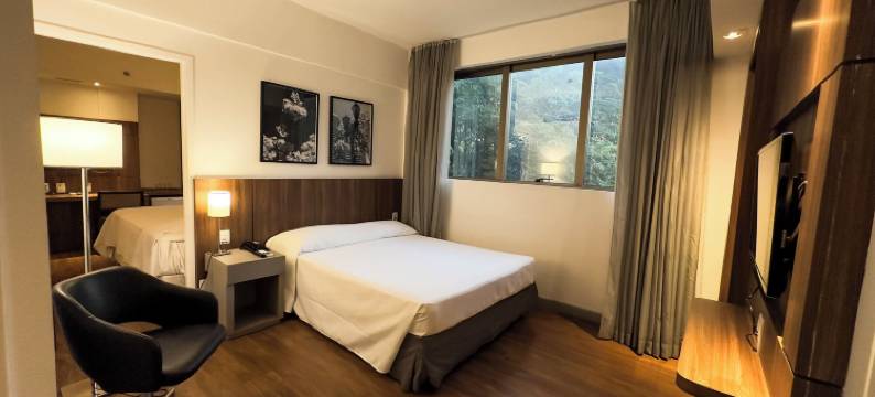 威温佐酒店(Hotel Vivenzo Savassi Belo Horizonte)图片