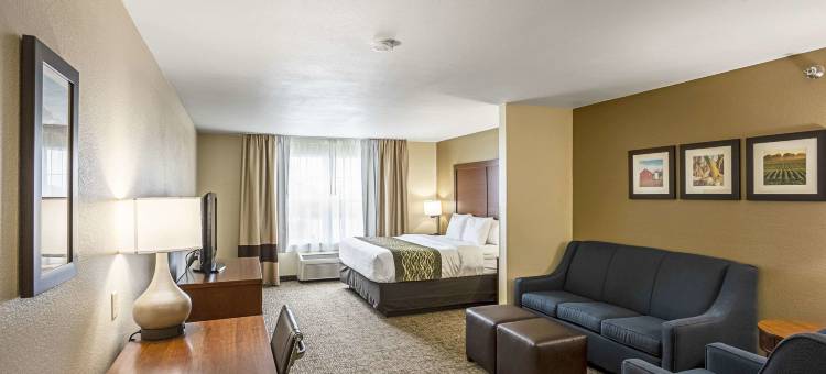 独立舒适套房酒店(Comfort Inn & Suites Independence)图片