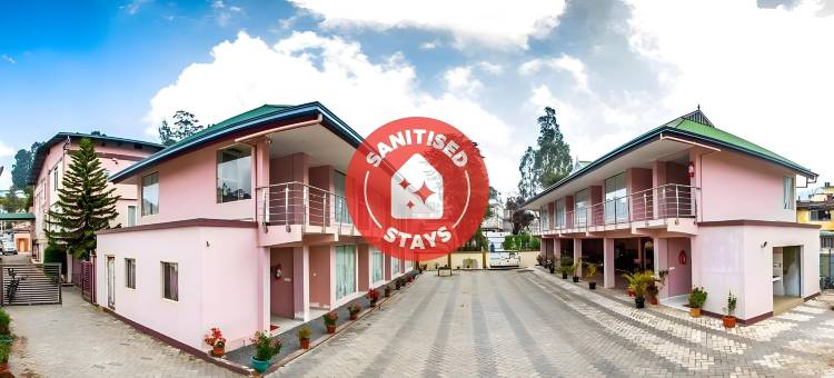 OYO 10950 山区宫殿酒店(Townhouse Hills Palace)图片