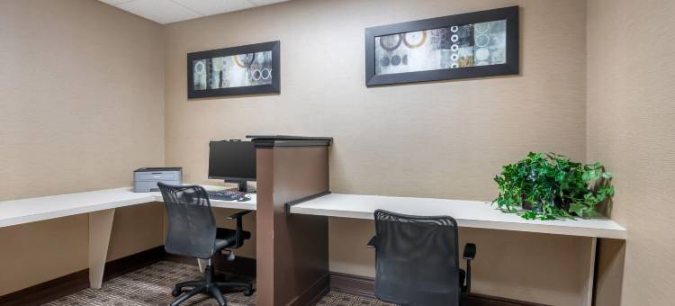 北奥卡拉舒适套房酒店(Comfort Suites Ocala North)图片