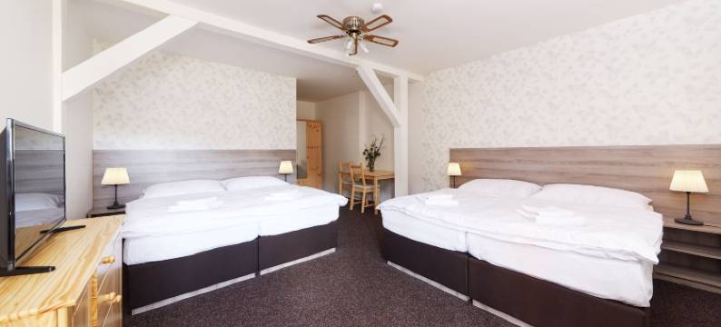 乌帕河畔斯沃博达滑雪酒店(Ski Hotel Svoboda Nad Úpou)图片