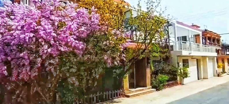 北戴河清心度假别墅(北三路分店)图片