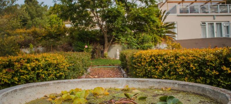 斯韦伦丹景观酒店(The View Swellendam)图片