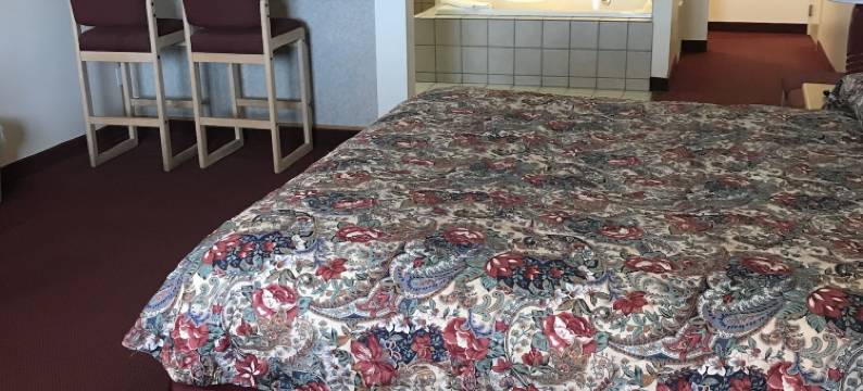 雷鸟汽车旅馆(Thunderbird Motel)图片