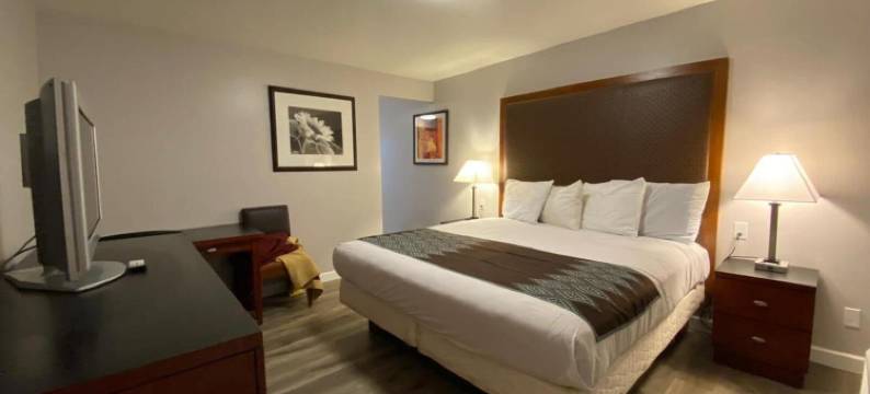 克罗尼尔汽车旅馆(Colonial Motel)图片