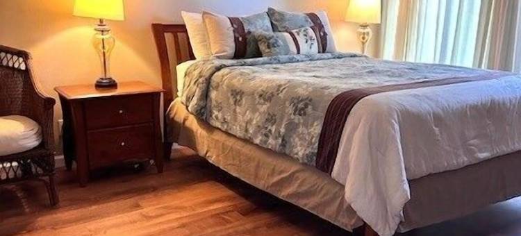 海龟湾樱草 ta-016722124801 1 居共管公寓 - 雷艾温(Turtle Bay Primrose ta-016722124801 1 Bedroom Condo by RedAwning)图片